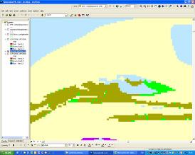 Figuur 3. Vergelijking BKN en luchtfoto voor duingebied Ameland. Naast BKN-klasse 91 (duinen, strand en zandplaten) komen ook BKN-klasse heide, rietmoeras en natuurlijk grasland voor.