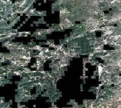 De linker luchtfoto van het duingebied laat de verschillende vegetaties zien waarbij Top10vector bos is gemaskeerd (zwart).