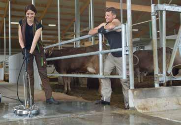 5 M22 BUS 045 055 voor kleine tot middelgrote oppervlakken 41861 41860 Round Cleaner roestvrijstaal Ø 300 Bedrijfsdruk max.