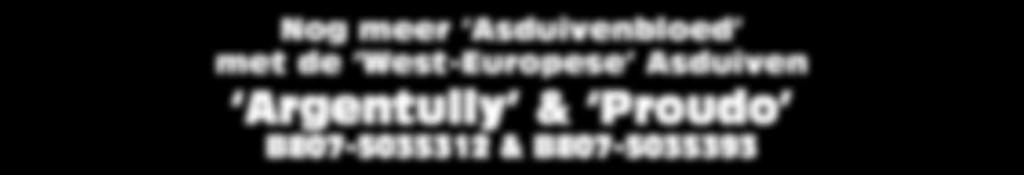 Proudo BE07-5035393 1e West-Europese Asduif Fond 2011 1e prov. Moulins 661 d. 2e s-nat. Moulins 2.678 d. 1e prov. Chateauroux 1.642 d. 5e s-nat. Chateauroux 8.189 d.