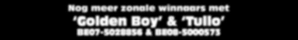 BE07-5028856 Golden Boy Wint 1e Nat. Zone Châteauroux 2010 8e beste duif van België over 5 grote halve fondvluchten 2008-2009 1e Nat. Zone Chateauroux 5.993 d. 56e s-nat. Montlucon 7.514 d. 5e prov.