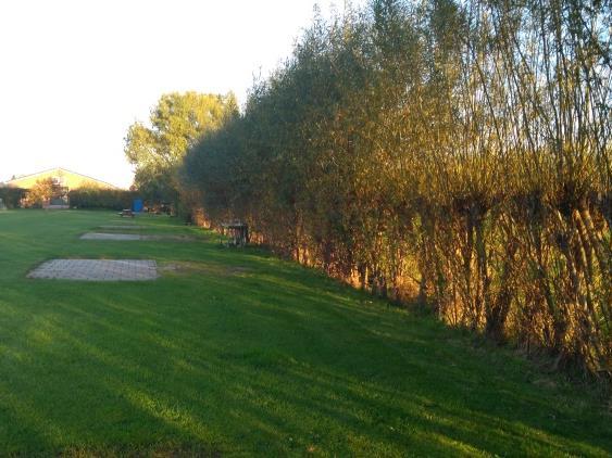 Op 27 oktober 2017 is een veldbezoek uitgevoerd. Het plangebied bestaat uit een voormalig agrarisch bedrijf. Hierop zijn een woonhuis, enkele stallen en gemaaid grasland aanwezig.