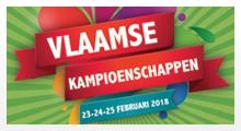Gedurende de eerste weken van februari is het Antwerpse Wezenbergbad weer het strijdtoneel voor vele Vlaamse zwemmers tijdens de Vlaamse (jeugd)kampioenschappen.