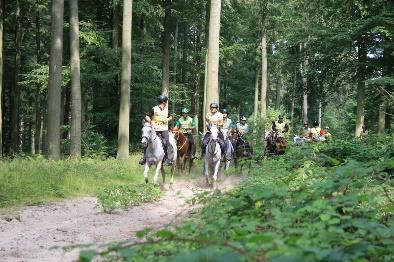 Wedstrijd voor Fokkers van Endurance Paarden Beste Partner In 2019 organiseert het Belgisch Arabisch Paardenstamboek (BAPS vzw), in samenwerking met de Ligue Equestre Wallonie Bruxelles (LEWB) en de