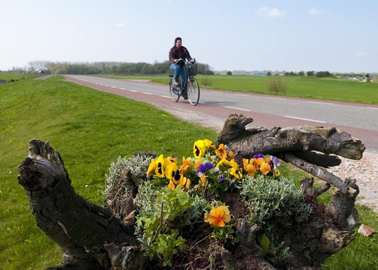 Elst Wageningen Rijswijk Maurik Eck en Wiel Ingen Rhenen NEDERRIJN Lienden Kesteren Opheusden Dijkverbetering is nodig In dit dijkvak is de dijk niet stabiel genoeg en gedeeltelijk niet hoog genoeg.