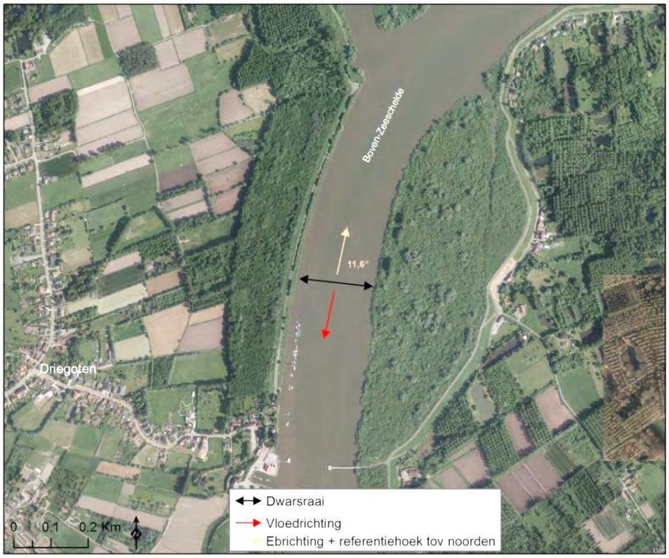 Figuur 136 - SSF tijdens de 13u-metingen te Kruibeke (Beneden-Zeeschelde) in 2009 t.e.m. 2016 4.5.