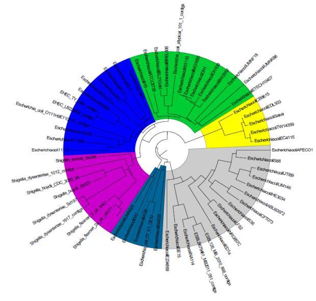 Specific microbial Alert System for Hazards