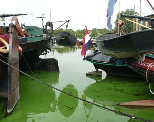 De voorwaarde voor subsidieverlening lag vooral op het vlak van de voorgenomen aansluiting op het riool, vastgelegd in het gemeentelijk rioleringsplan of een daarop gebaseerd saneringsplan, dan wel