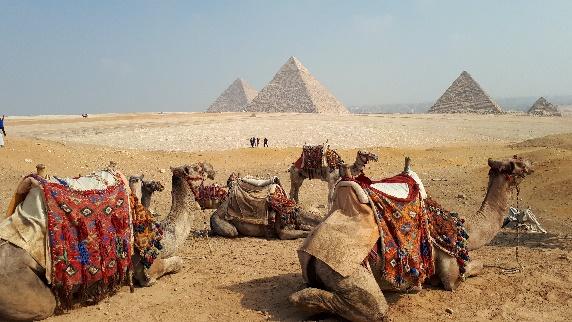 .. Avondmaal en overnachting in het luxehotel Semiramis Intercontinental***** DAG 10: ZATERDAG 23/11 Na het buffetontbijt, bezoek aan het plateau van Gizeh met de 3 piramiden (Chefren, Mykerinos en