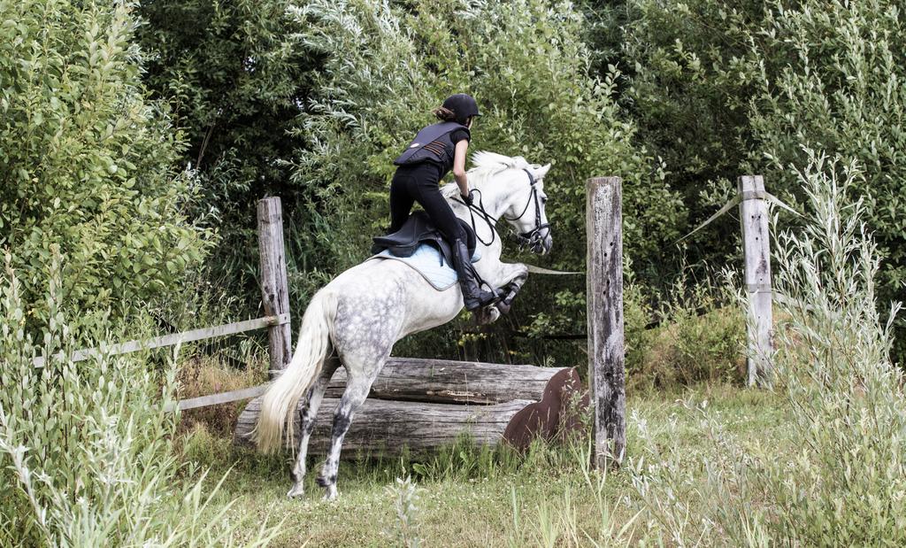 VERVOLMAKING EVENTING STAL DE VLIERBEEK Vervolmakingskampen voor ruiters die reeds de rijvaardigheid hebben om een B-brevet af te kunnen leggen en springervaring hebben.