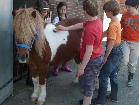 Leerkrachten, ouders, kinderen en boeren zijn enthousiast! In west (Utrechtse Venen & stad Utrecht) is gestart in voorjaar 2007. Leerkrachten, ouders, kinderen en boeren reageerden erg enthousiast.