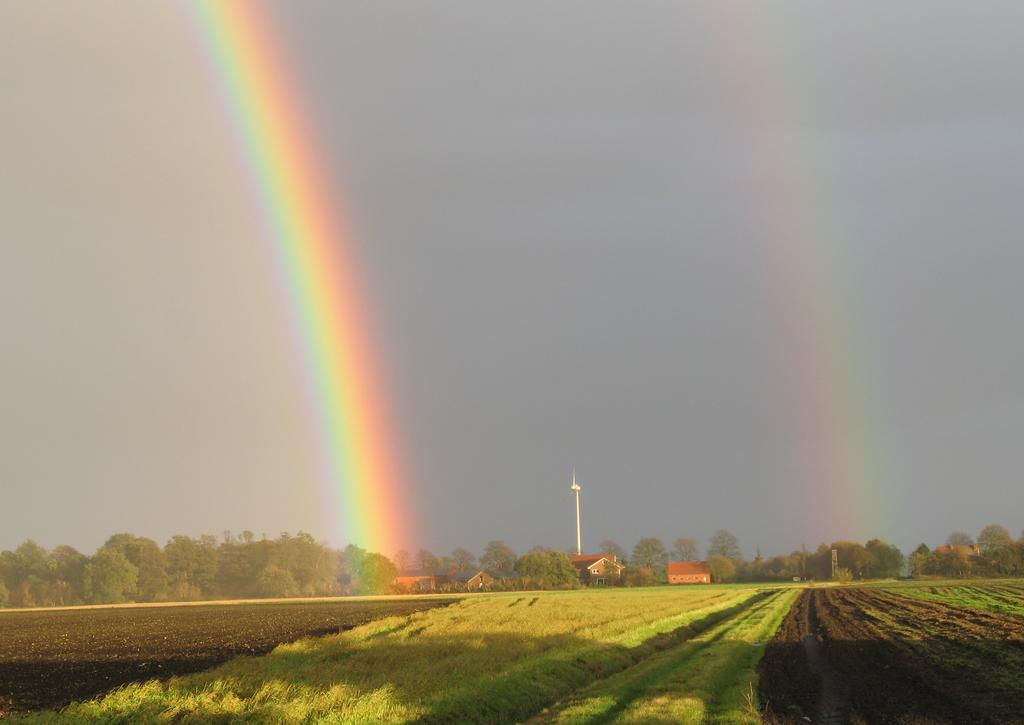 Jaaroverzicht neerslag