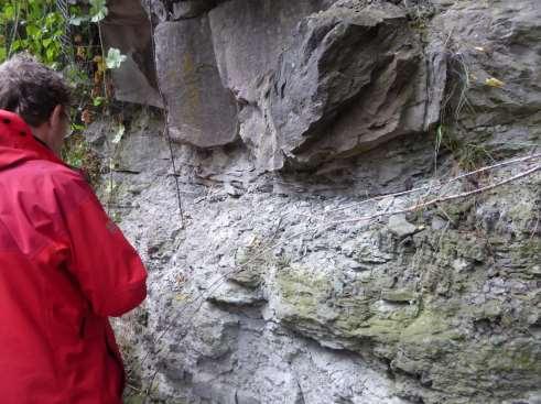 12 Steinheim De Muschelkalk is een pakket gesteentelagen in de ondergrond van grote delen van West- en Midden-Europa.