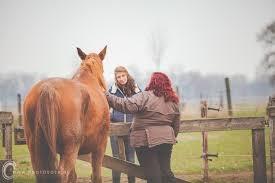 Met paardencoaching groei je in: Assertiviteit, Grenzen stellen, Authenticiteit, Zelfvertrouwen, Openheid, Samenwerken,