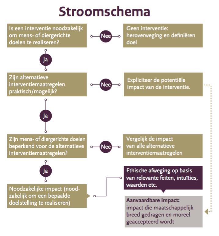 Bijlage 2 Stroomschema en afwegingskader Is een interventie noodzakelijk om mens- of diergerichte doelen te realiseren? o Zijn alternatieve interventiemaatregelen praktisch/mogelijk?