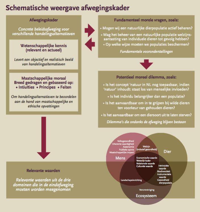 Schematische weergave afwegingskader Afwegingskader Concrete beleidsajweging voor verschillende handelingsaltematieven Wetenschappelijke kennis (relevant en actueel) Levert een objectief en