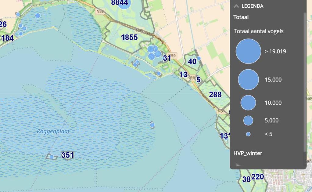 De kweek van oesters vindt slechts plaats in een beperkt deel (max 0,2 ha) van het habitattype.