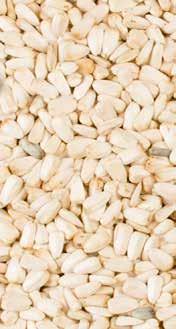 Het aminozurenpatroon in het eiwit is vooral rijk aan leucine 11,5%. En er is zachte en harde millet, maar in tegenstelling tot wat doorgaans wordt aangenomen heeft de kleur daar weinig mee te maken.