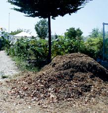 Biovergister groenafval, composthoop Composteren maakt van groenafval nieuwe