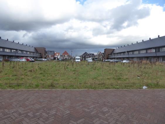 1 2 3 4 Plangebied ten tijde van het veldbezoek.