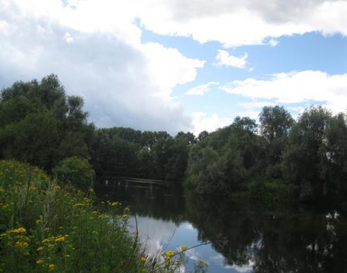 Parcours De 6 km hebben een keuze tussen een wandeling rondom de dorpskern of een wandeling met meer natuur, deze gaat tot aan de ganzenvijver terwijl de 18-23 en 30 km verder wandelen naar hun