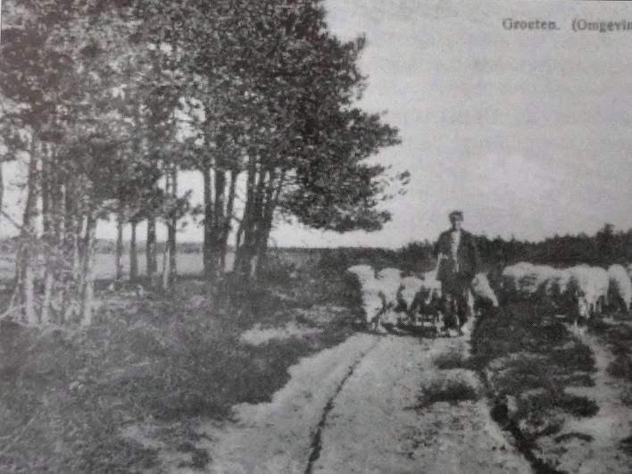Over dit pad dreef de schaapherder zijn kudde naar de heide Westerhuizingerveld.