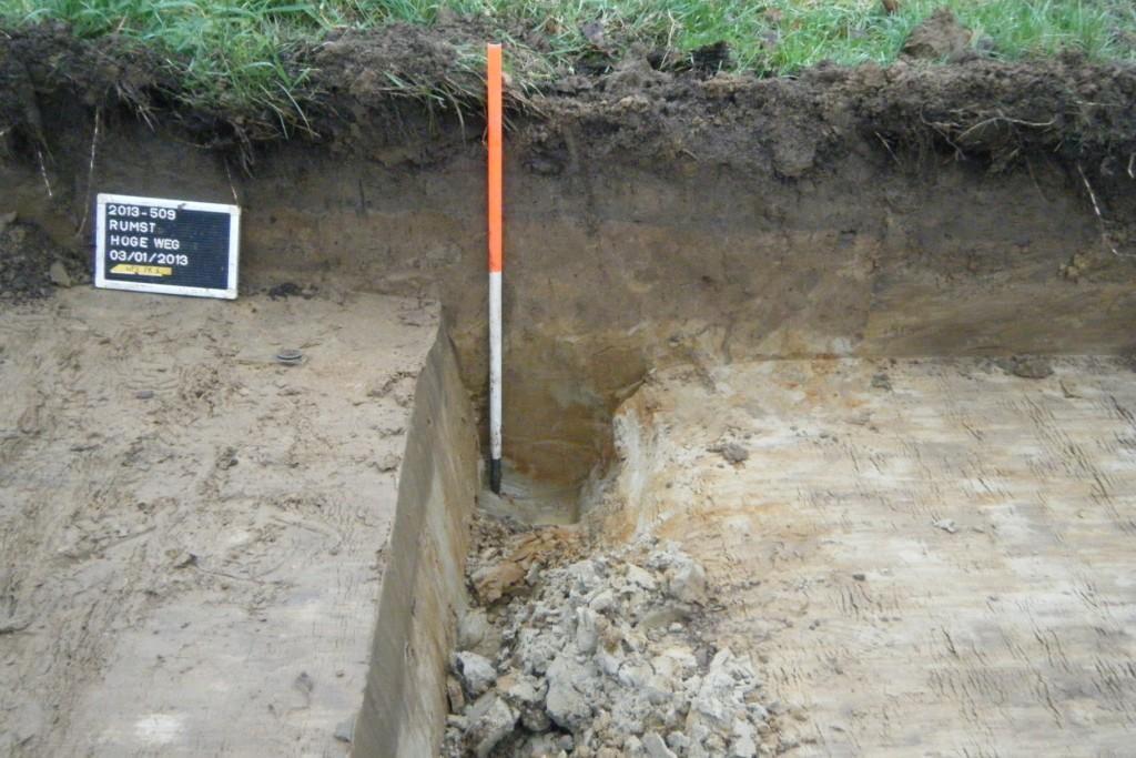 De vaststelling van een lemige zandbodem die natter wordt naar het zuiden, sluit aan bij de bodems aangegeven op de bodemkaart.