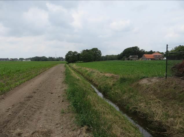 Ondanks het feit dat deze gronden niet in eigendom zijn van VOF Huurlingsedam of de gemeente strekt het tot aanbeveling om te onderzoeken of de akkers ten noorden van de plangrens/sloot omgezet