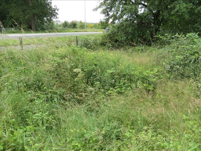 2. Verbeteren verbindingszone vanuit burcht Jansen Sierbestrating naar foerageergebied ten zuiden van plangebied Huurlingsedam.