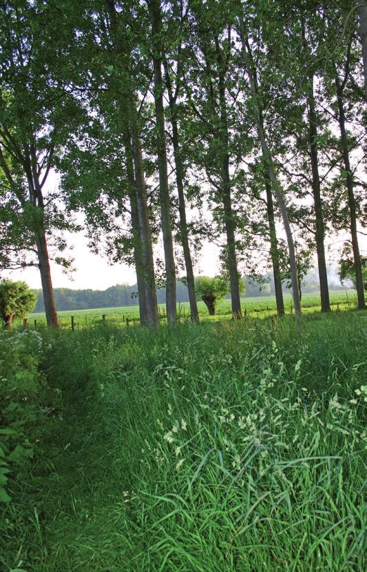 SK Wachtebeke genieten van het leven Kerkstraat 0477 24 38 97 piet@wabeke.be Waarom zou je voor onze partij stemmen? Waarom heeft onze gemeente een blauwe versnelling nodig? Omdat.