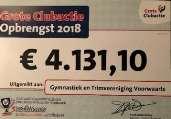 12 Grote Clubactie 2018 De Grote Clubactie is ten einde en er zijn 1770 loten verkocht door onze leden. G.V. Voorwaarts kan eind januari 2019 onderstaand bedrag tegemoet zien.
