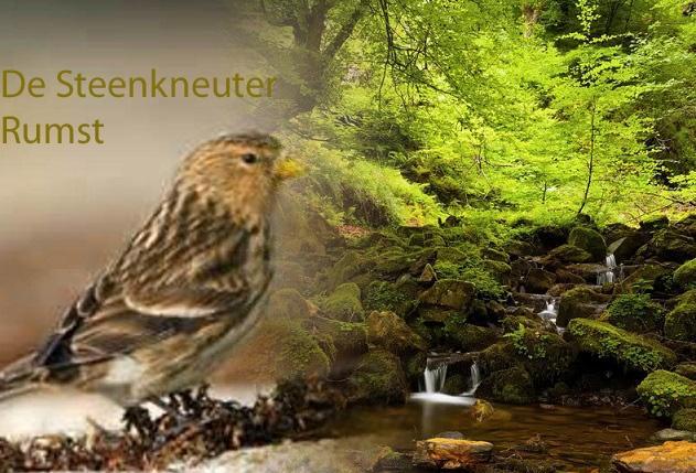 bpost PB-PP BELGIE(N) BELGIQUE Ornithologische Vereniging VZW Officieel 2 maandelijks clubblad: november - december 14 de jaargang anno 2017 Clubblad: 6 Afgifte kantoor: