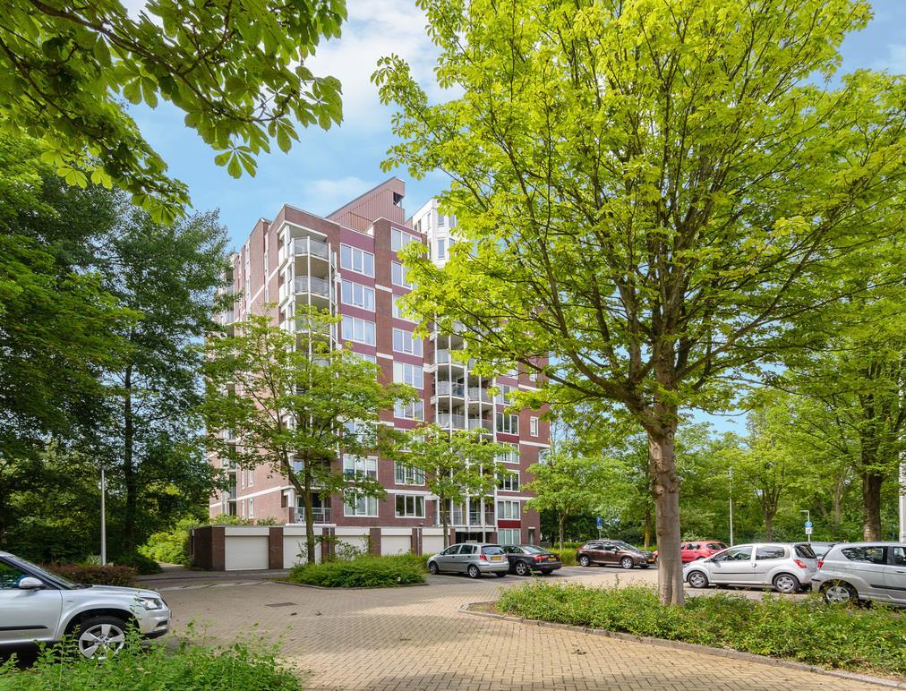 Goed onderhouden appartement gelegen in de groen wijk Waardhuizen!