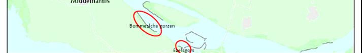 Er zullen in 2007 maatregelen worden uitgevoerd in 2 gorzen in het Haringvliet; de Bommelsche Gorzen