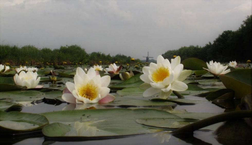 De winnende foto van deze wedstrijd staat hieronder. 5.