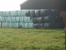 Opslag grasbalen Opslag ruwvoer en werkgedeelte erf Schoon erfdeel Het veehouderijbedrijf in