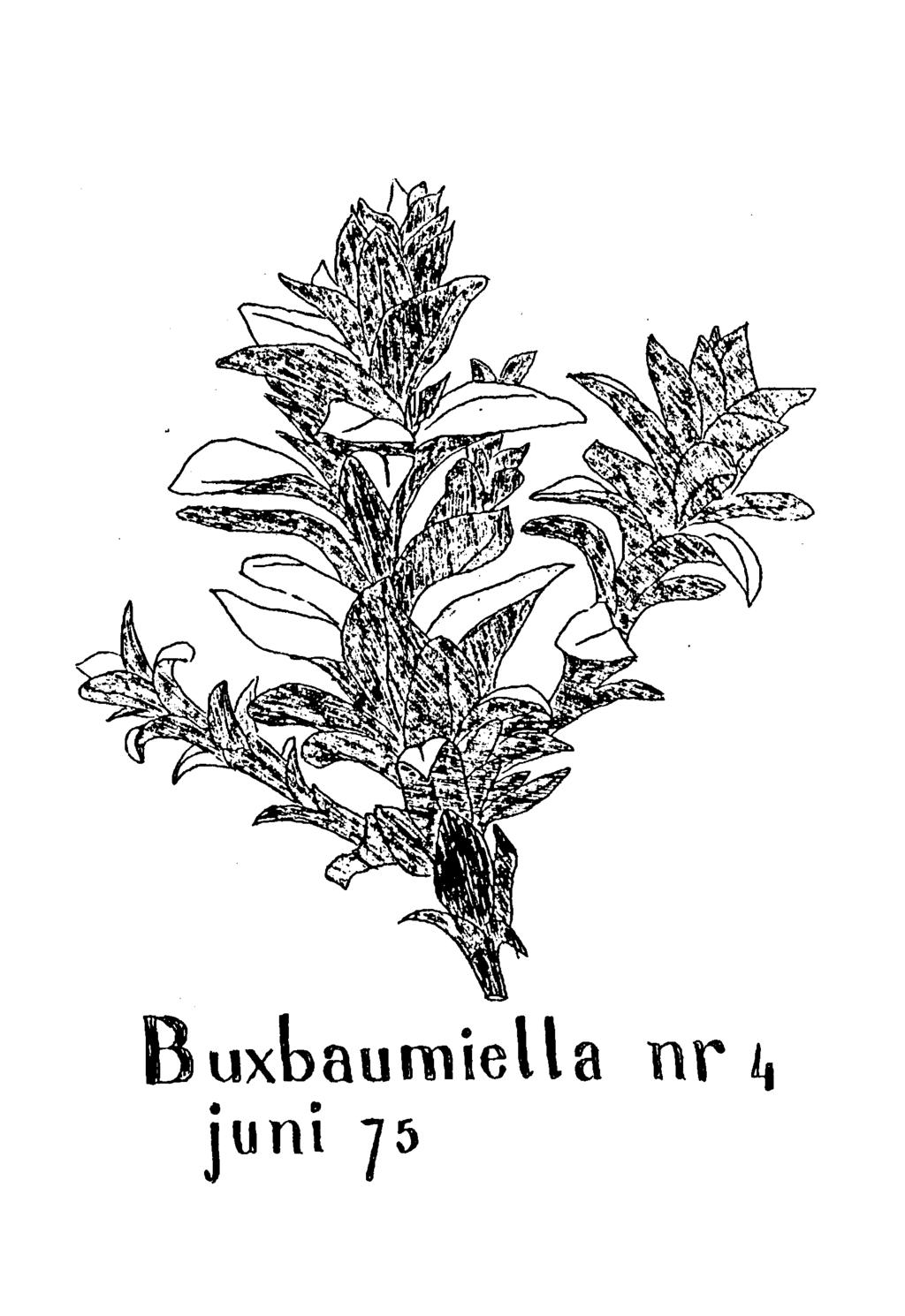 Buxbaumiella