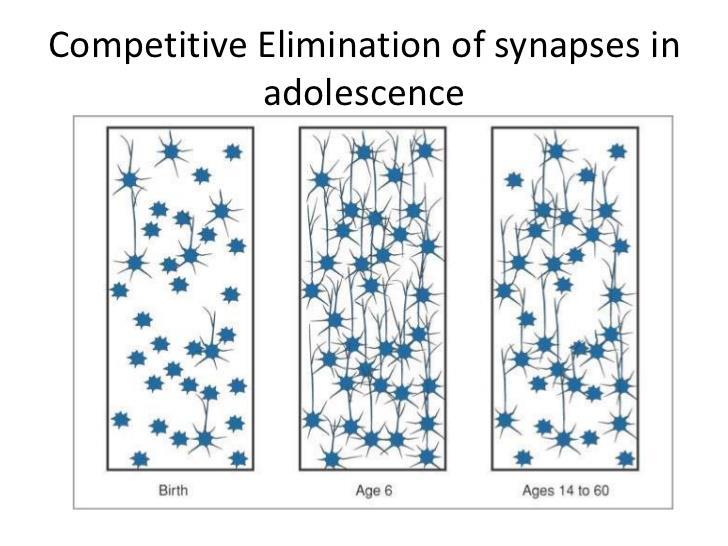 Synaptic