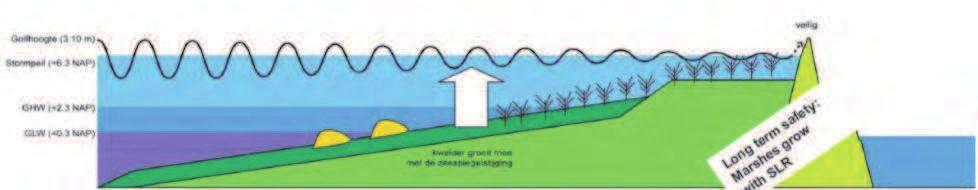 , 2012a) Concepten met biobouwers zijn ook goed mogelijk in de Waddenzee.