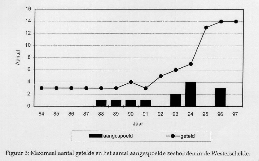 Beschrijving Schelde-estuarium Fig. 5.12: Maximaal aantal getelde en het aantal aangespoelde dode zeehonden in de Westerschelde (Witte et al.