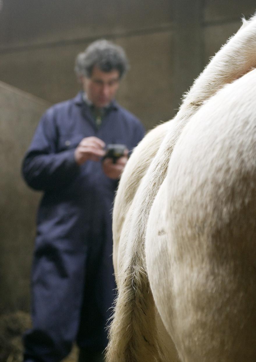 KIJK OP KEUREN KIJK OP KEUREN DERDE EDITIE VAN KIJK OP KEUREN Alles te weten komen over het exterieur van een dier, het dier beoordelen of jureren.