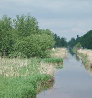 Beschrijving toestand Goed Ecologisch Potentieel (GEP) Meer beeldend kan het