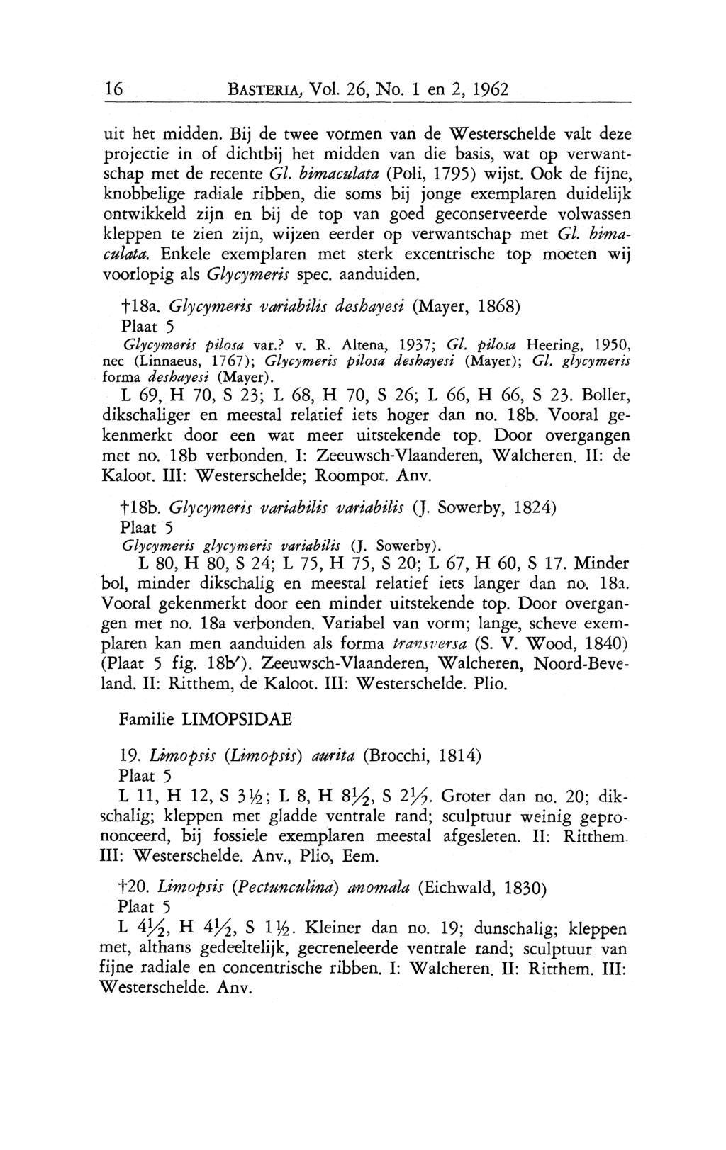 16 BASTERIA, Vol. 26, No.1 en 2, 1962 uit het midden. Bij de twee vormen van de Westerschelde valt deze projectie in of dichtbij het midden van die basis, wat op verwantschap met de recente Gl.