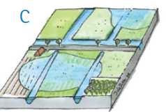 7. Variant 3 Waterrobuust landgebruik Binnen deze variant prikkelt het waterschap het eiland om vooruit te kijken naar een toekomst waarbij waarde wordt gehecht aan een duurzame sociaal economische
