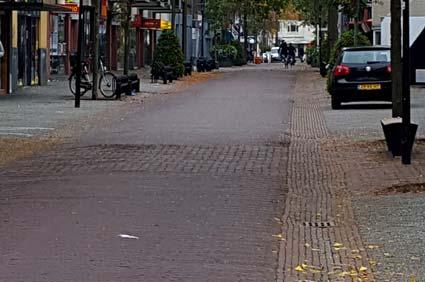 (Robinia's) Voorheuvel vanaf Emmaplein