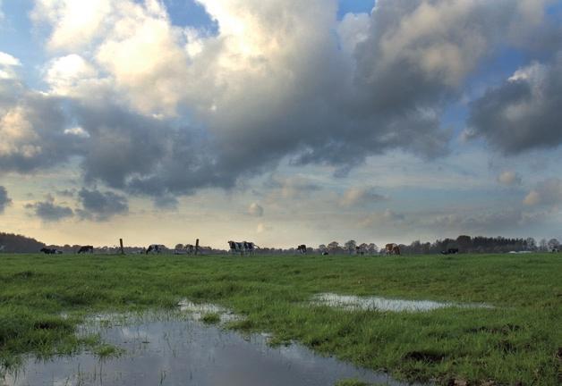 Wat kan ik met dit rapport? Welk accent heeft uw voorkeur? Het respecteren van het bestaande landschap en de levende natuur?