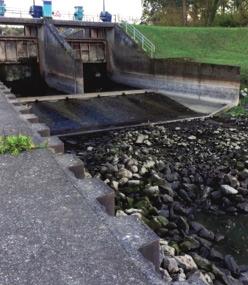 INHOUD Het Rijn en IJssel zorgt voor droge voeten, schoon water en voldoende water voor ruim 650.