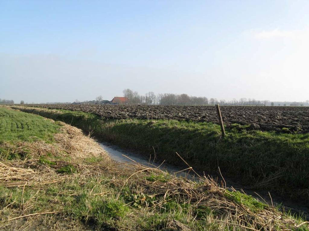 6 HOOGBEGOAFD Ons Gerardje is hoogbegoafd, zee Gerardjes Moeke vol overtugens. Het mos wel zo wezen, want zai kon vrouger zulms ook al zo goud leren.