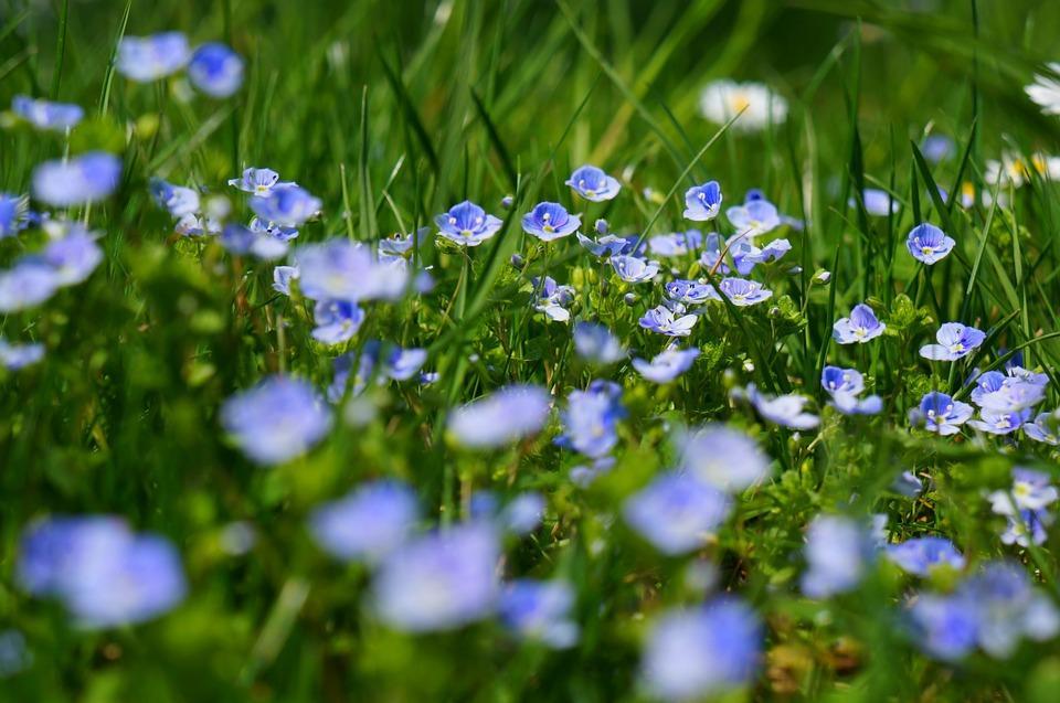 Beste mensen, helpt u mee? In maart begint de lente en we hebben in februari al wat mooie dagen gehad. Als de vroege voorjaarszon zich laat zien, ziet het leven er opeens anders uit.