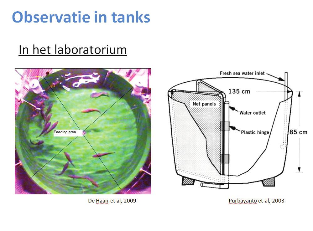 Deze methode laat dikwijls toe de doodsoorzaak te achterhalen.